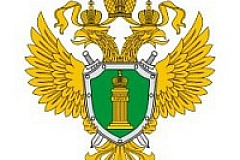 Перед судом предстанут участники организованной группы, обвиняемые в совершении 53 преступлений о получении коммерческого подкупа